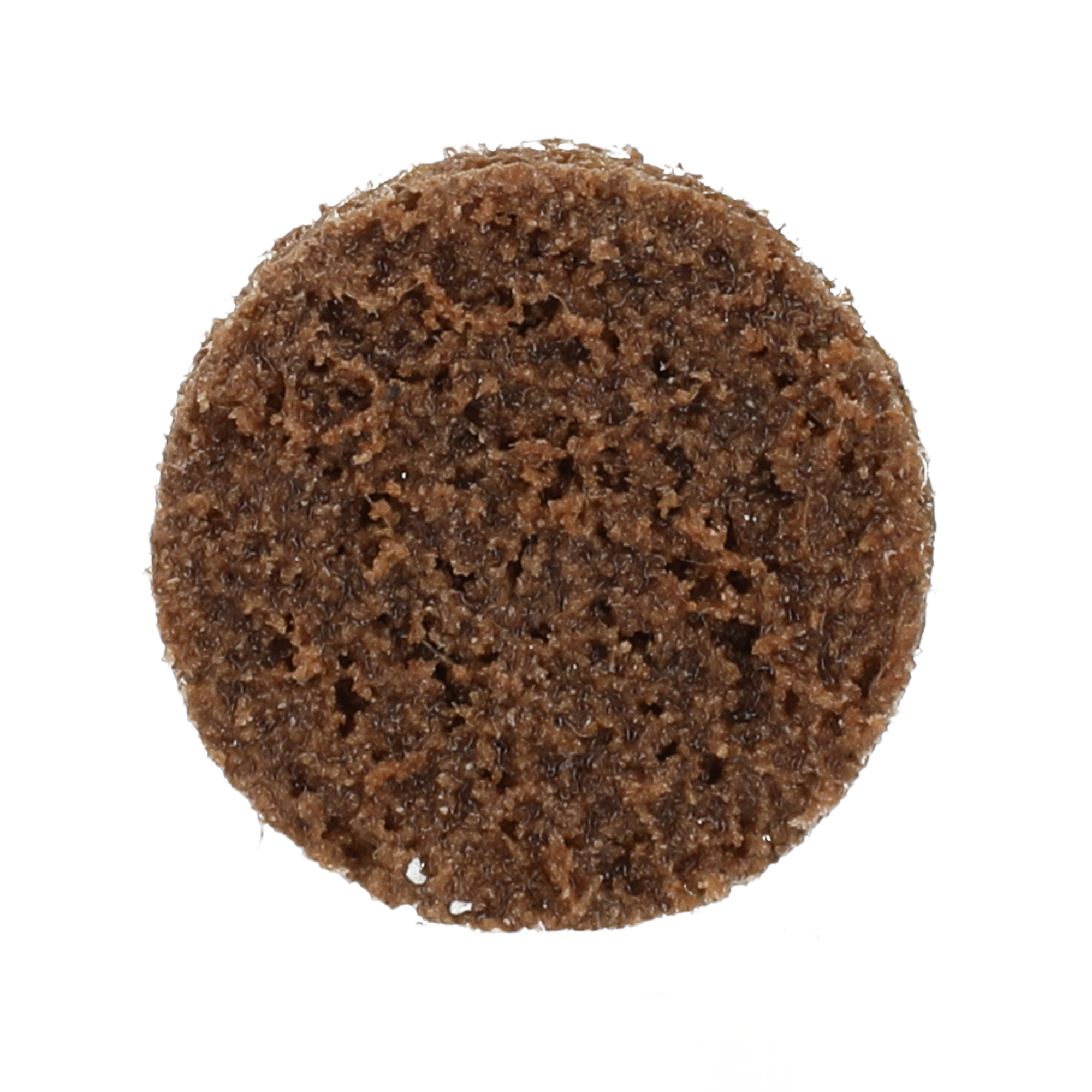 Norton 1 In. Bear-Tex Vortex Rapid Prep Non-Woven Quick-Change Disc Type III AO C Grit