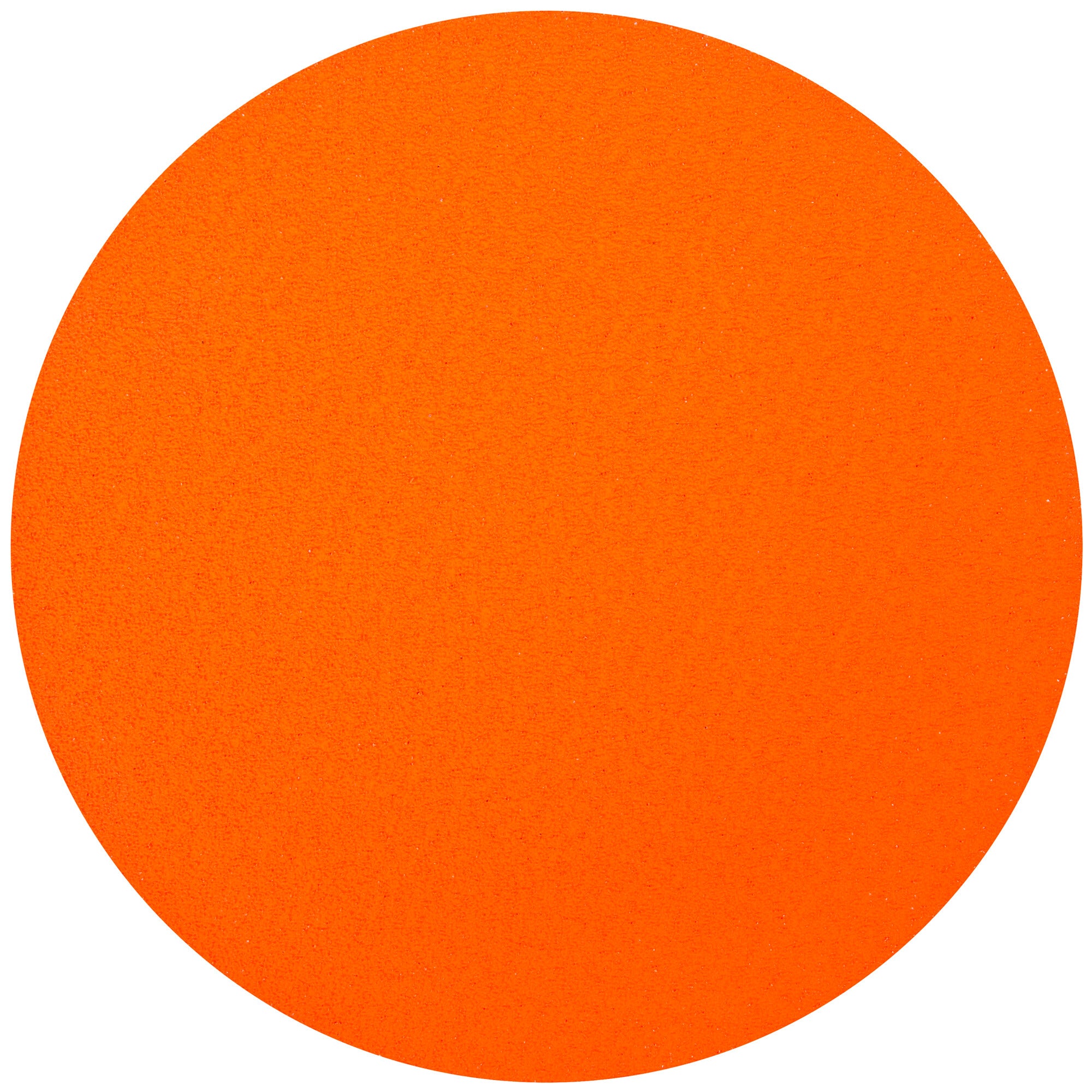 Norton 12 In. Blaze Large Diameter Cloth PSA Disc 80 Grit R980P