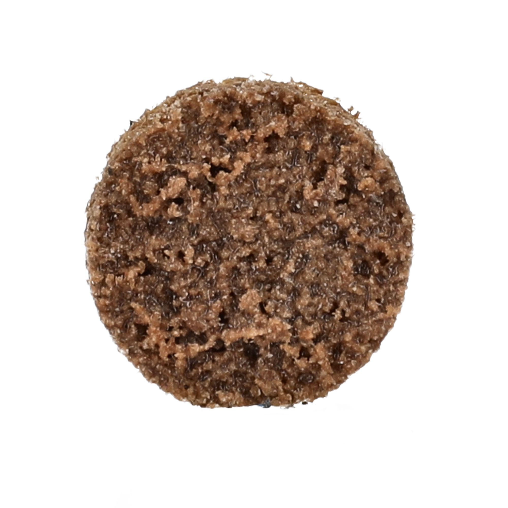 Norton 3/4 In. Bear-Tex Vortex Rapid Prep Non-Woven Quick-Change Disc Type III AO C Grit