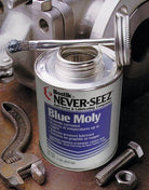 never-seez-nbbt-16-blue-moly-compounds,-16-oz-brush-top-can